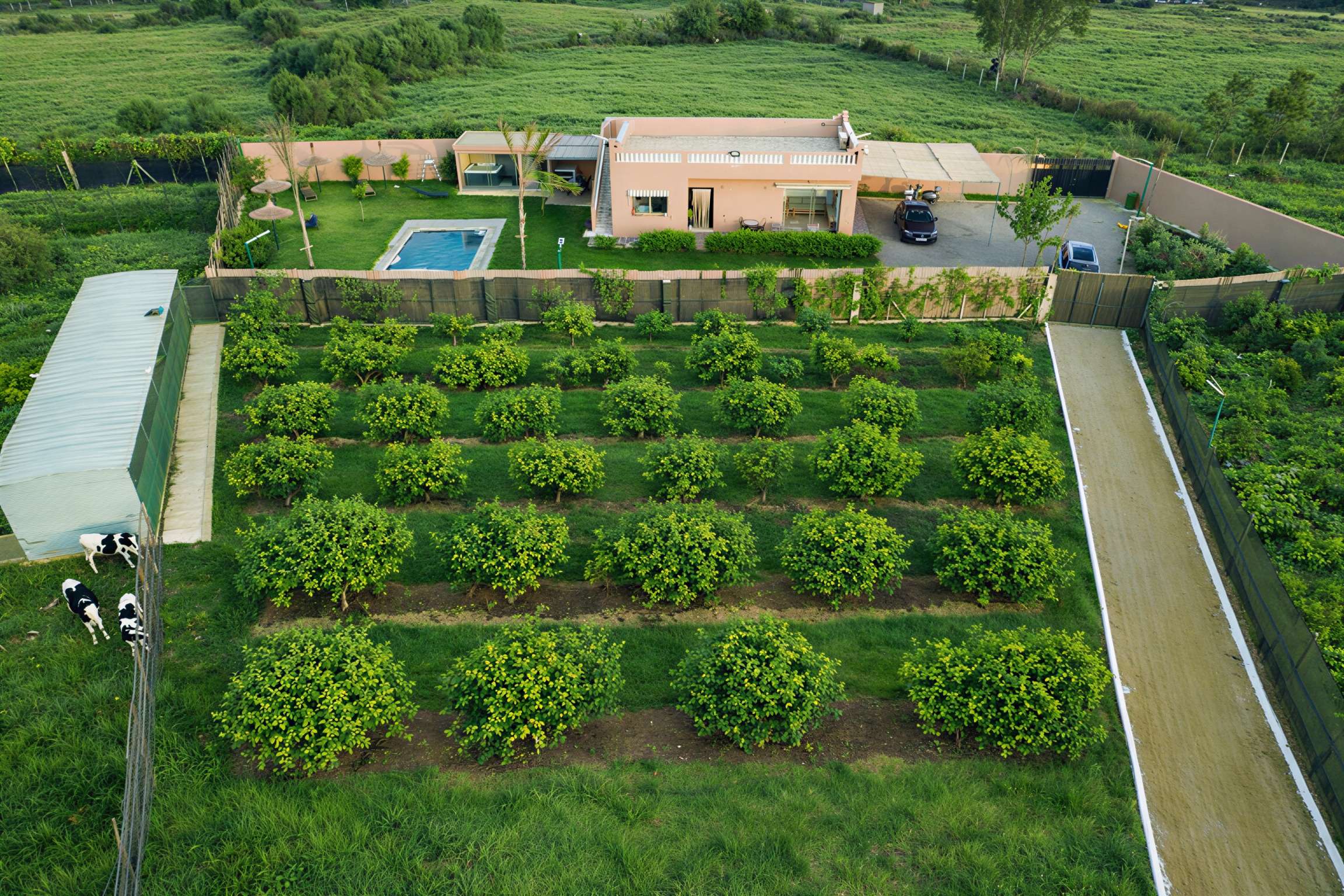 Ferme Maïssa - Vue d'ensemble